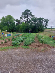 community garden